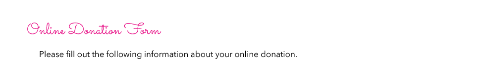 donate online screen form text